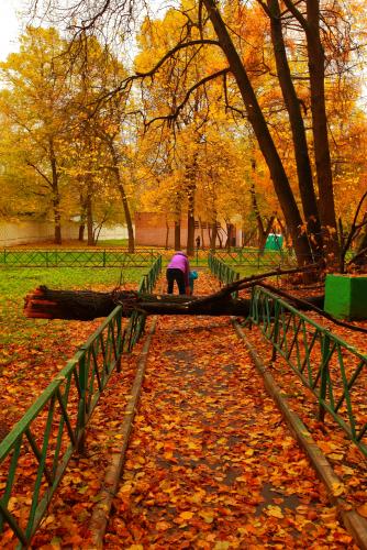 Размещенное изображение